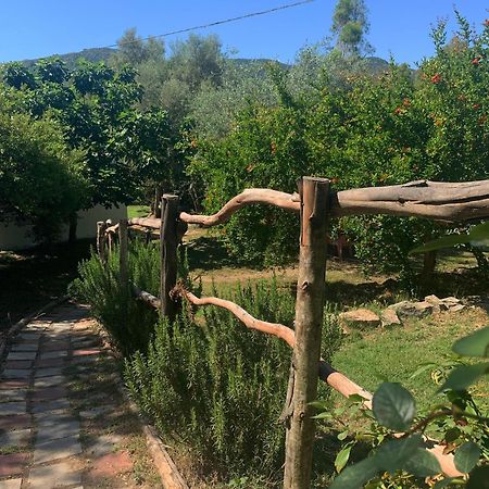 S'Imbragu Farm B&B Tortolì Exterior foto