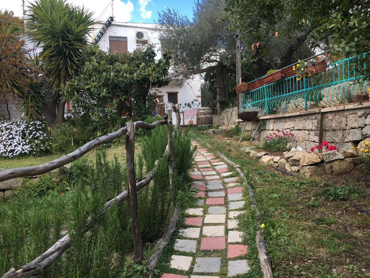 S'Imbragu Farm B&B Tortolì Exterior foto