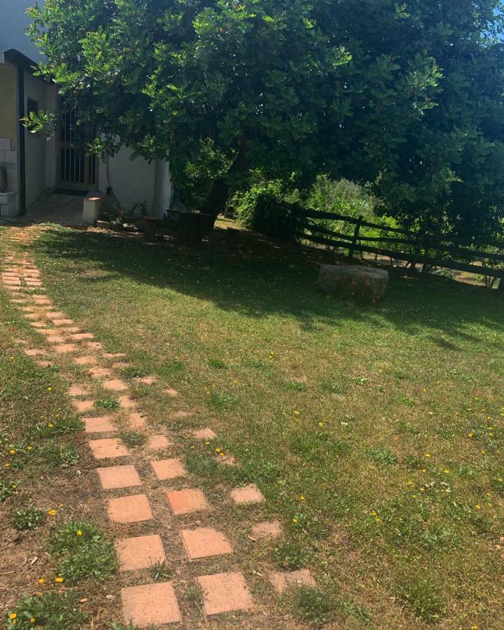 S'Imbragu Farm B&B Tortolì Exterior foto