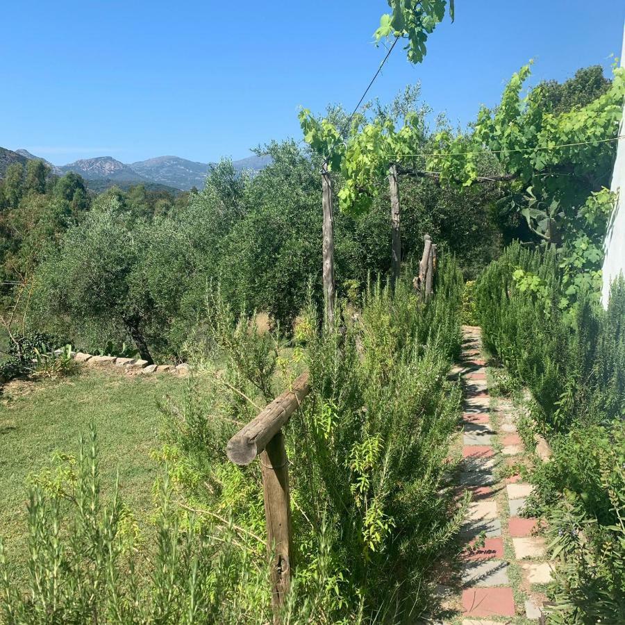 S'Imbragu Farm B&B Tortolì Exterior foto